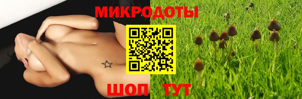 Псилоцибиновые грибы Psilocybe  Вход с VPN  Асино 